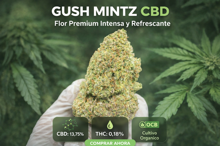 GUSH MINTZ CBD