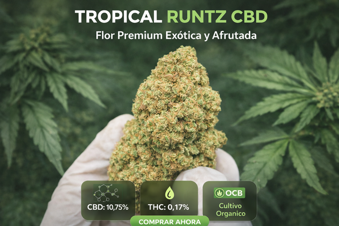 TROPICAL RUNTZ CBD