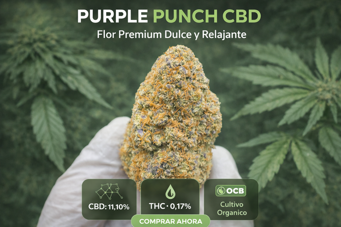 PURPLE PUNCH CBD