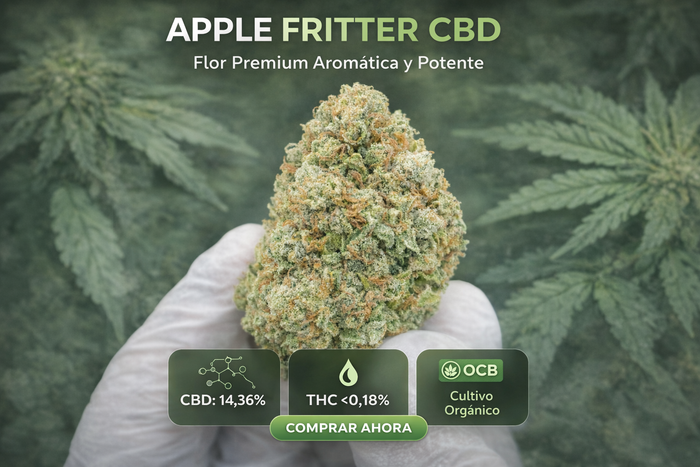 APPLE FRITTER CBD