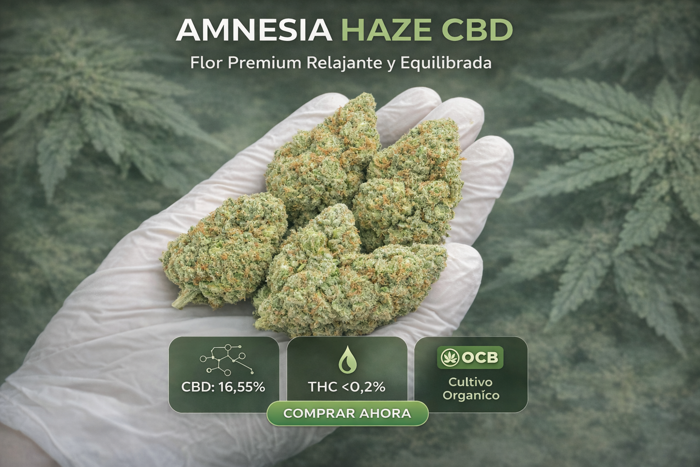 AMNESIA HAZE