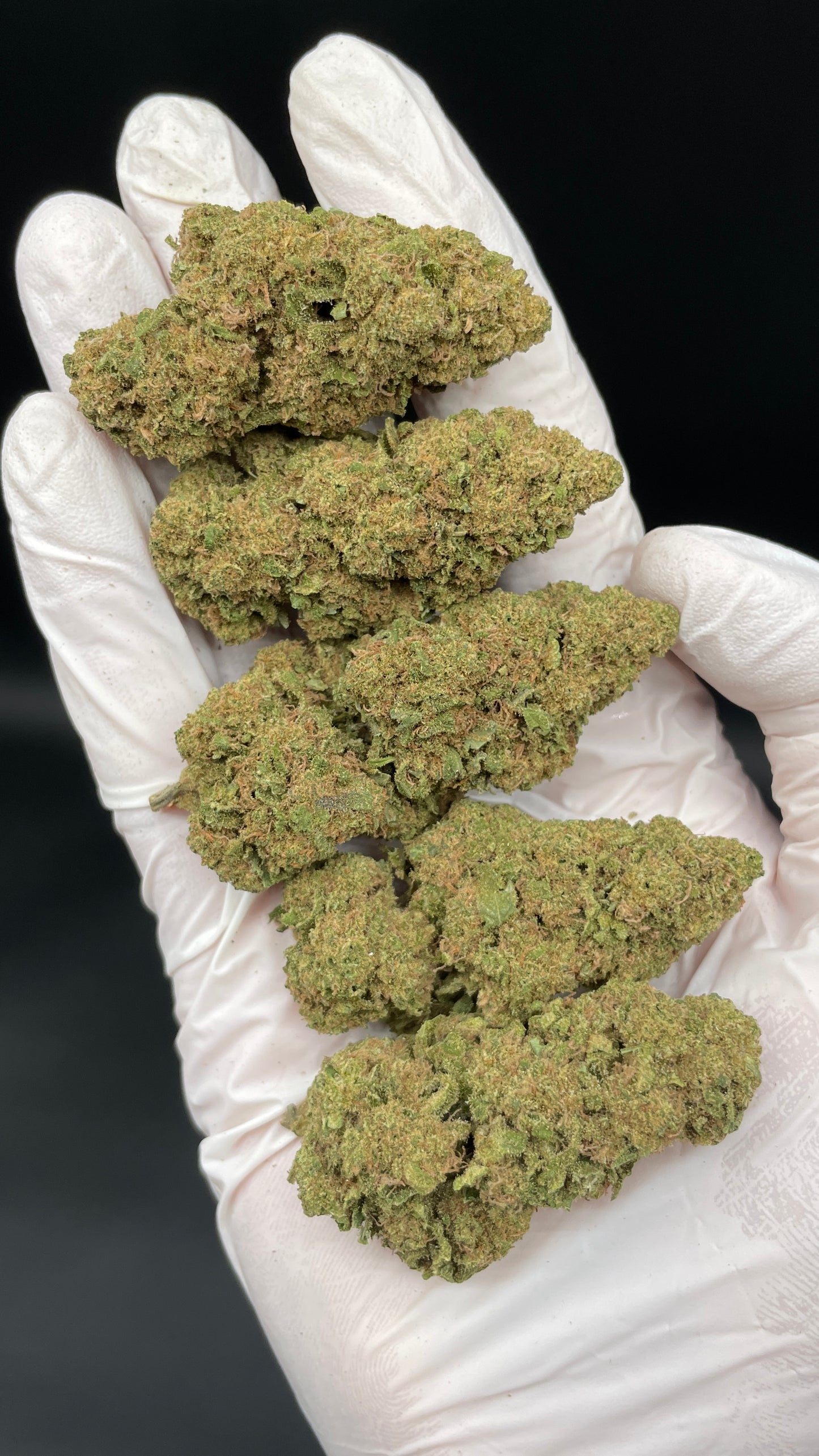TROPICAL RUNTZ CBD