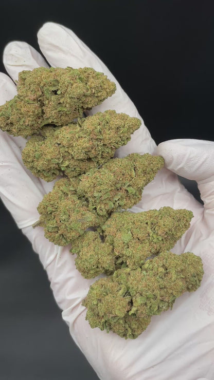 TROPICAL RUNTZ CBD