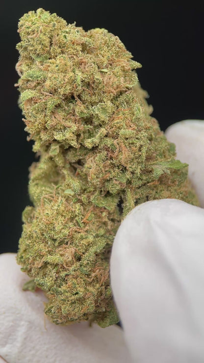 TROPICAL RUNTZ CBD